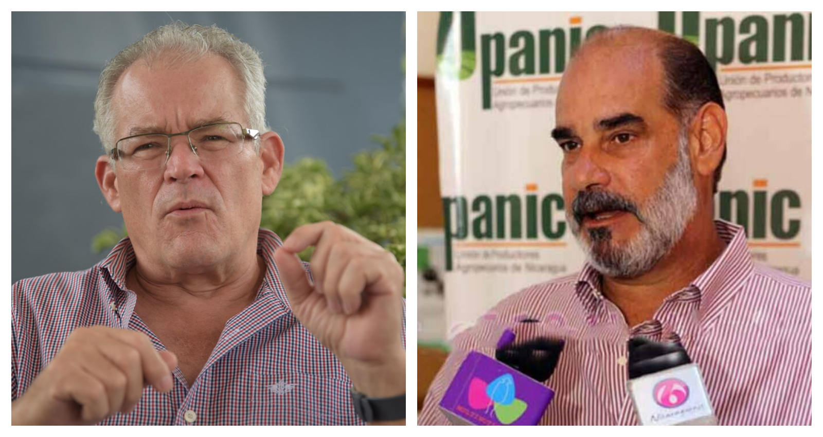 El Cosep elige hoy entre Michael Healy y Mario Hanon ¿Quién representa el cambio?