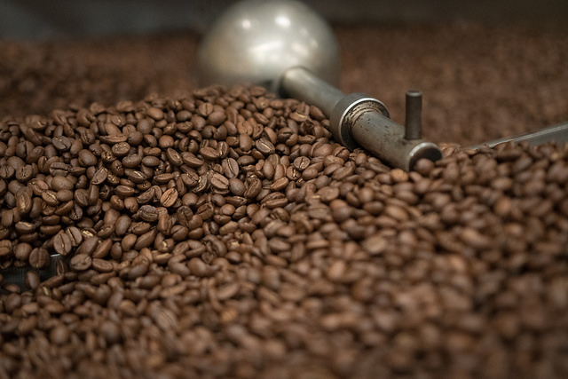 Cafetaleros preparan plan anti Covid-19 para 300 mil cortadores de café