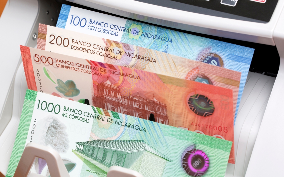 El Banco Central baja al 6% la tasa de referencia monetaria: créditos y préstamos serán más accesibles
