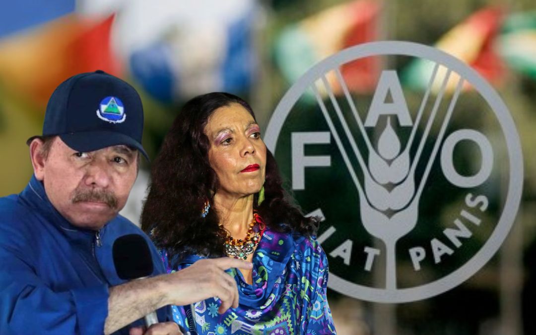La FAO defiende su rigurosidad en la recopilación, análisis y difusión de datos sobre el hambre