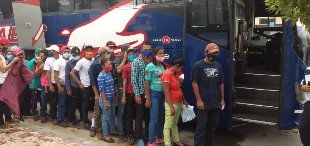 Se van los primeros nicaragüenses a cortar café a Costa Rica