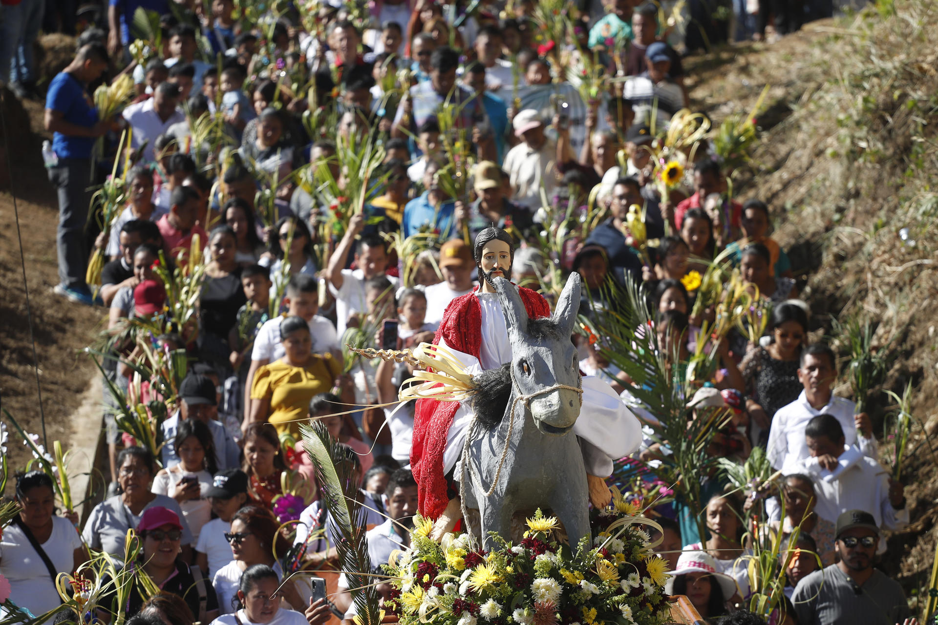 Católicos de América Latina piden en el Domingo de Ramos terminar guerras e injusticias