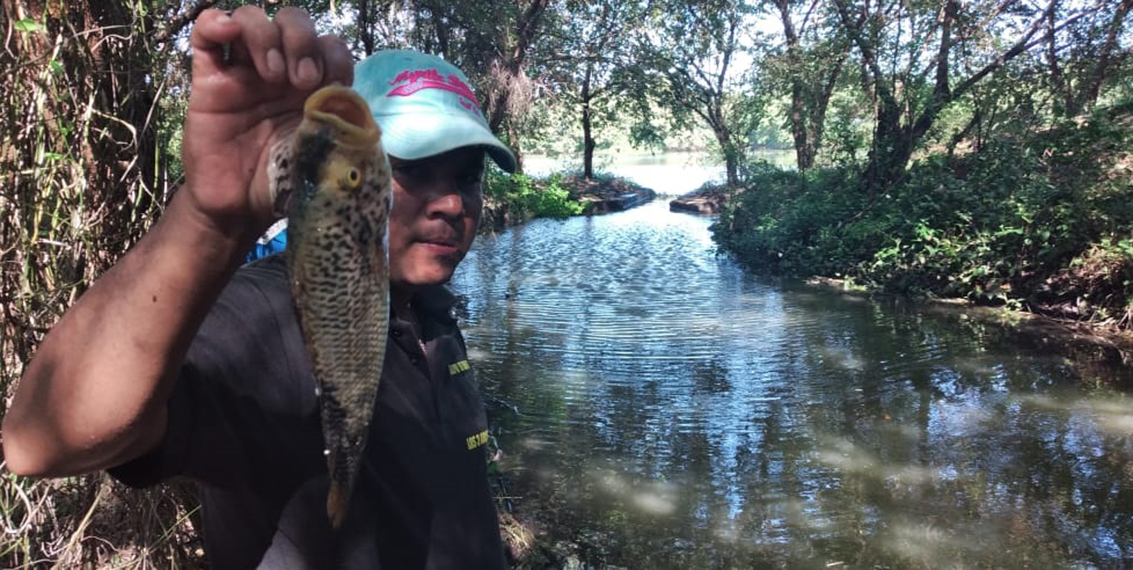 Mortandad de peces en laguna de Potosí atrae a pescadores que buscan «el ajuste del día»