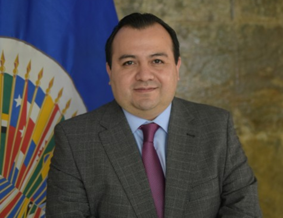 Comisionado Edgar Ralón: «Cadena perpetua en año electoral podría quitar legitimidad al proceso”