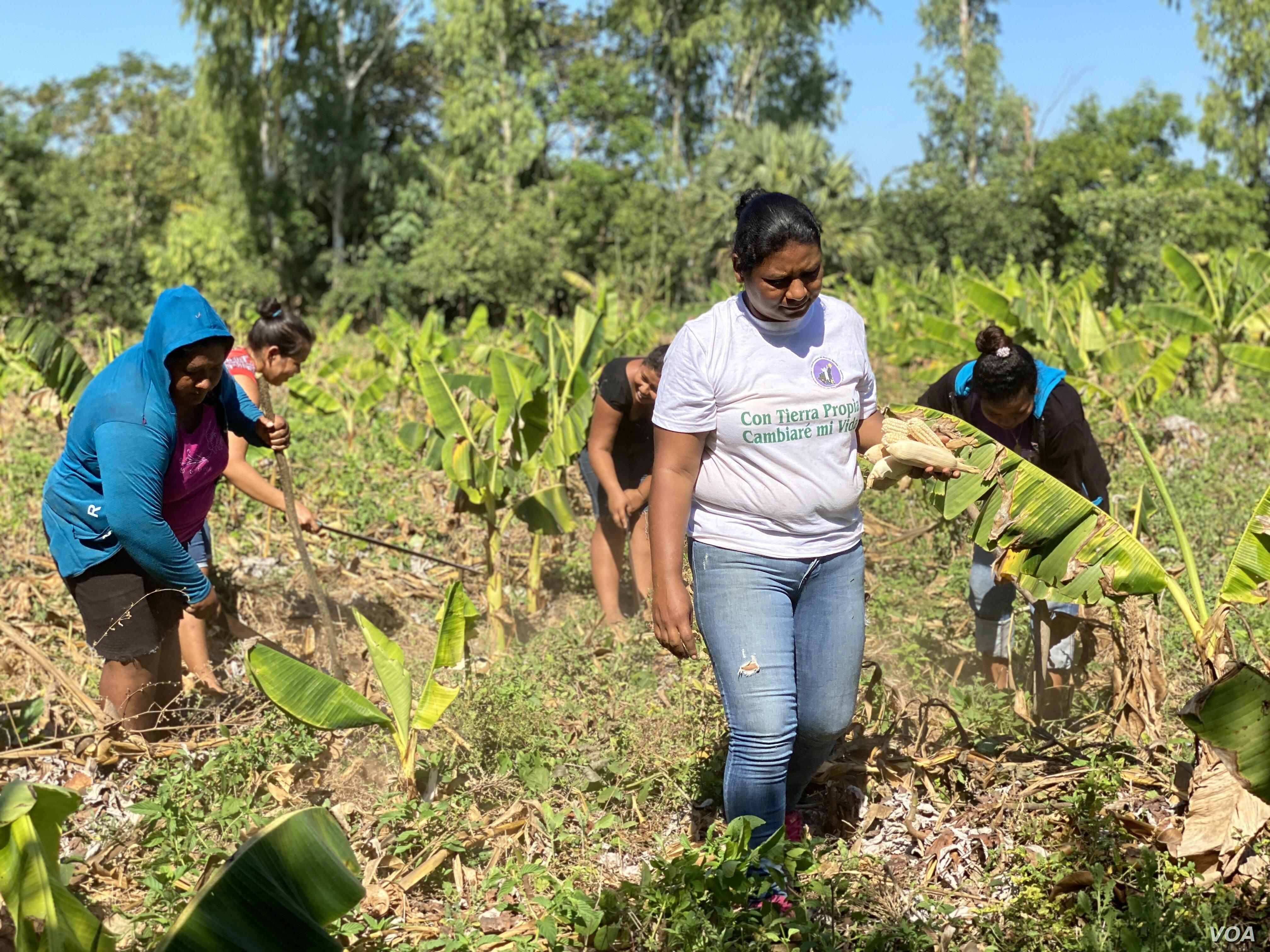Huracanes Iota y Eta dejaron endeudadas a mujeres rurales de Nicaragua