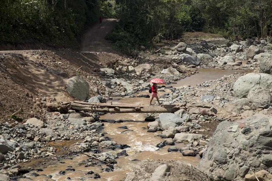 Productores de Jinotega sacan cosecha en caminos destruidos y cruzando «puentes» hechos de palo