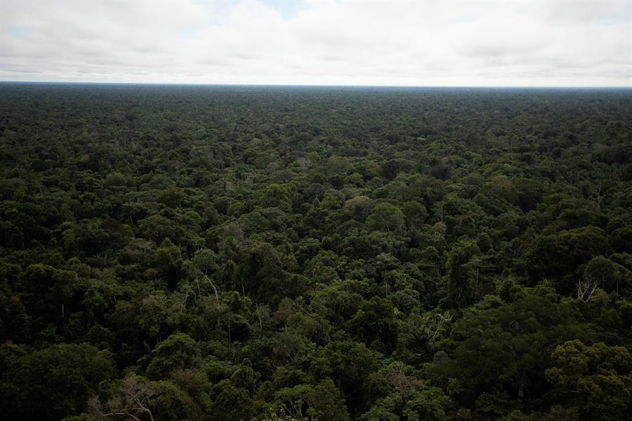 Una expedición busca con alta tecnología un avión desaparecido en Costa Rica en 1965