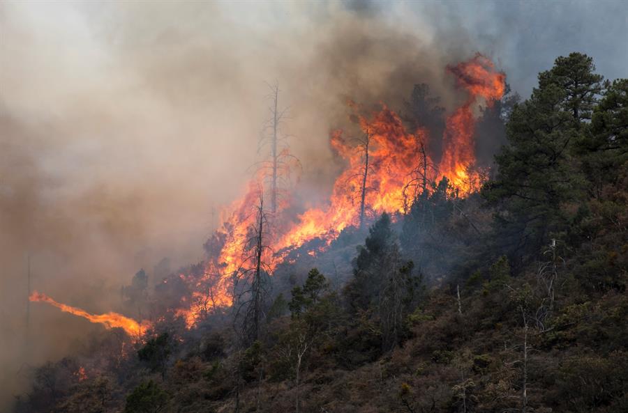 Incendios consumen más de 800 hectáreas durante la Semana Santa en El Salvador
