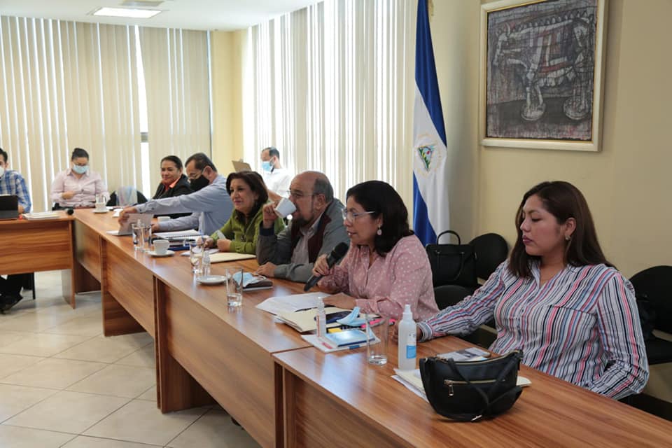 FSLN consulta su reforma electoral con partidos zancudos y viejos aliados