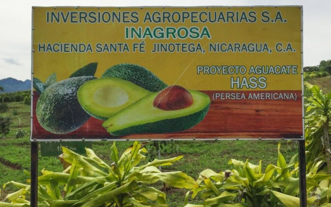Daños causados por paramilitares en 2018 le pueden costar casi 600 millones de dólares a Nicaragua