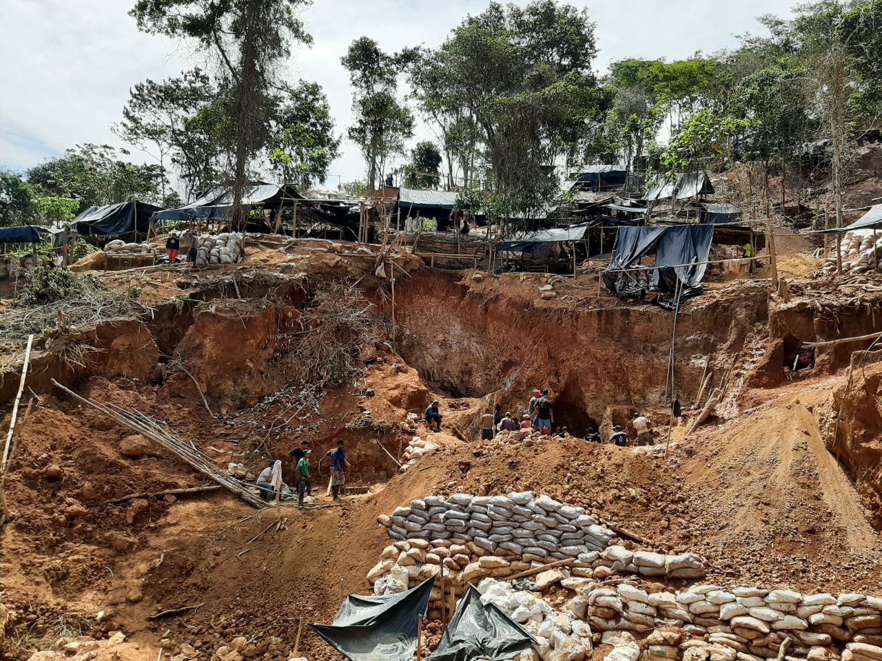Fiebre del oro amenaza la Indio Maíz, denuncia Fundación del Río
