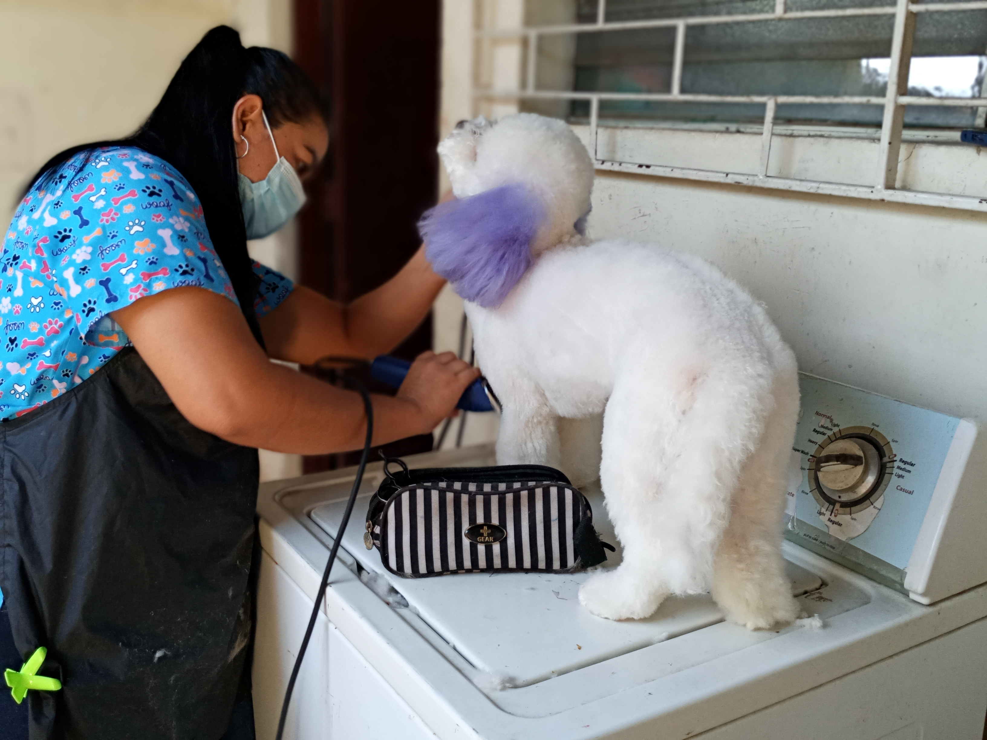 La emprendedora que se abre camino en el mercado de las mascotas en Nicaragua