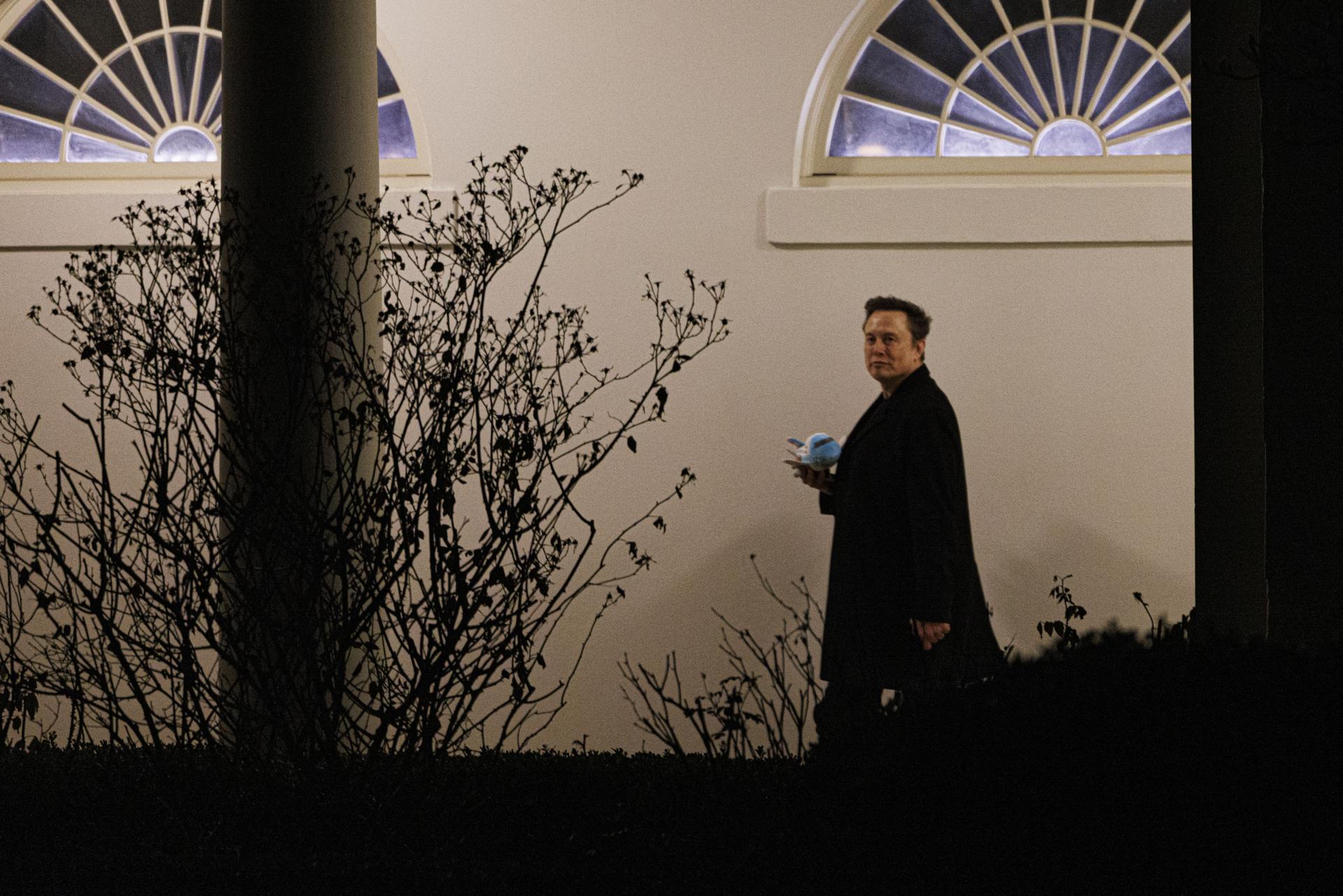 Musk irá a la primera reunión de gabinete que Trump hará el miércoles en la Casa Blanca