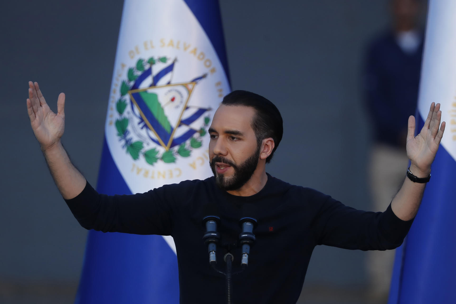 Bukele asegura que en 10 años El Salvador «tendrá seguridad alimentaria»