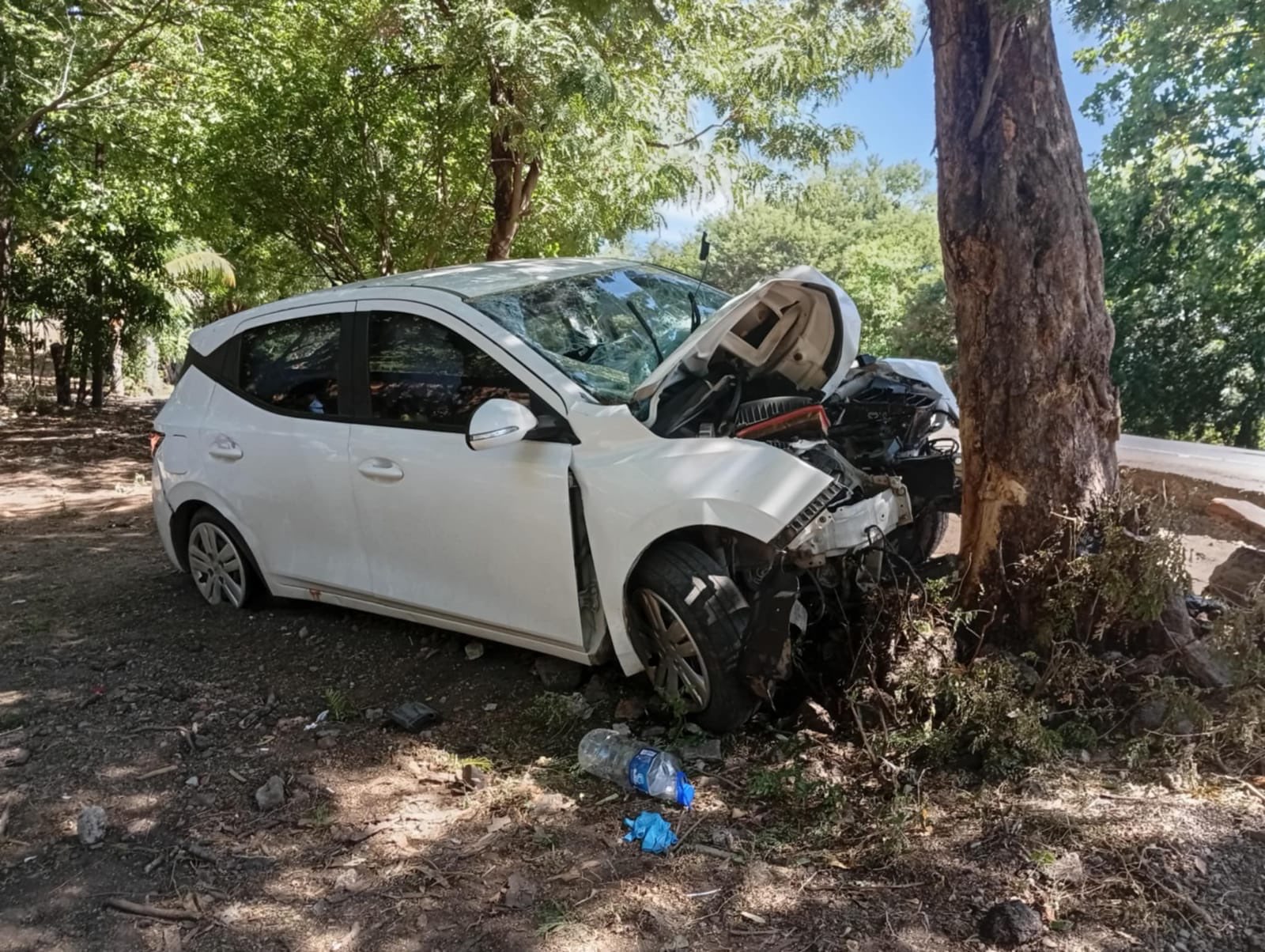 Tragedia vial: mueren pareja y su hijo de 2 años tras chocar contra un árbol