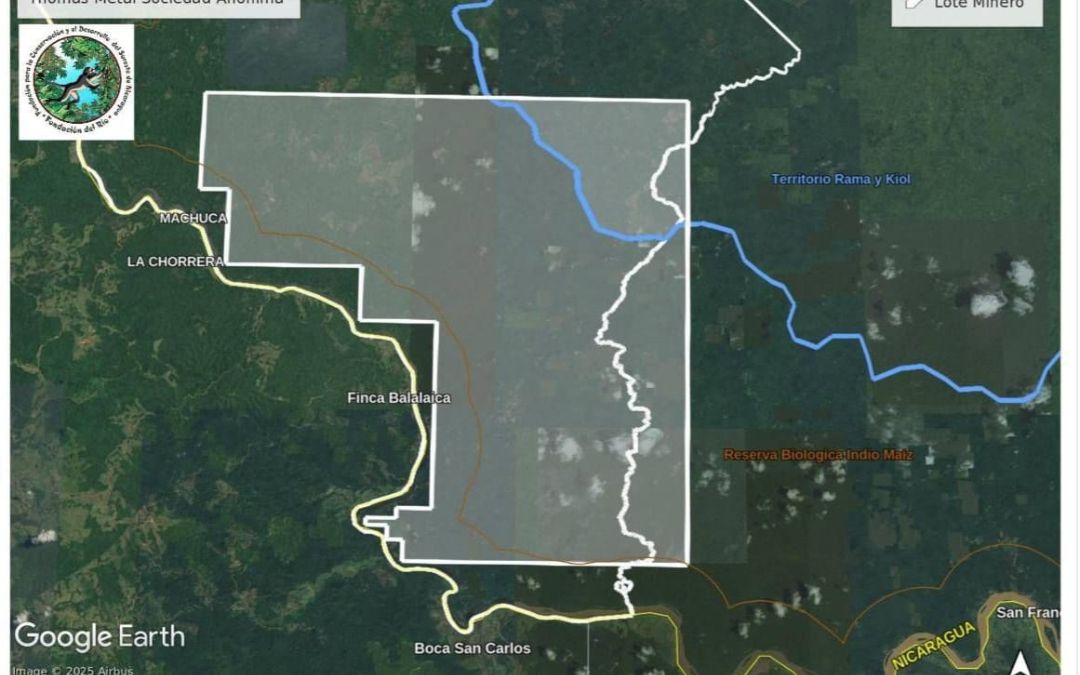 Minera china recibe concesión en la reserva Indio Maíz