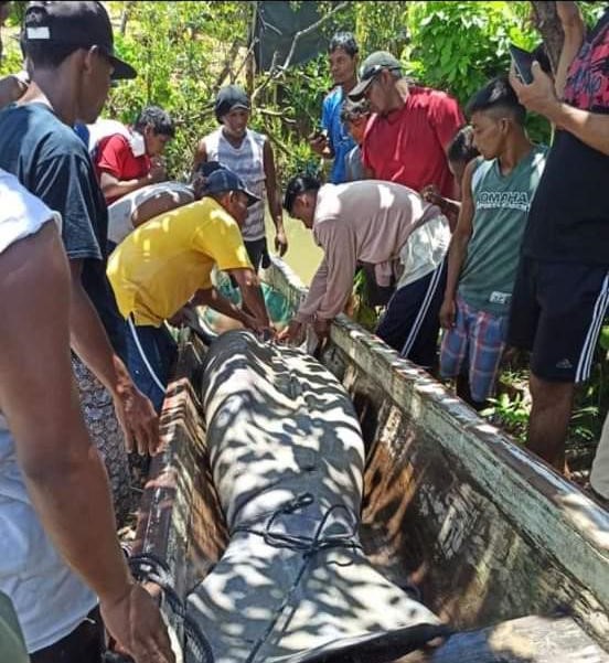 Defensores de animales repudian «lapidación» de manatí en Bilwi