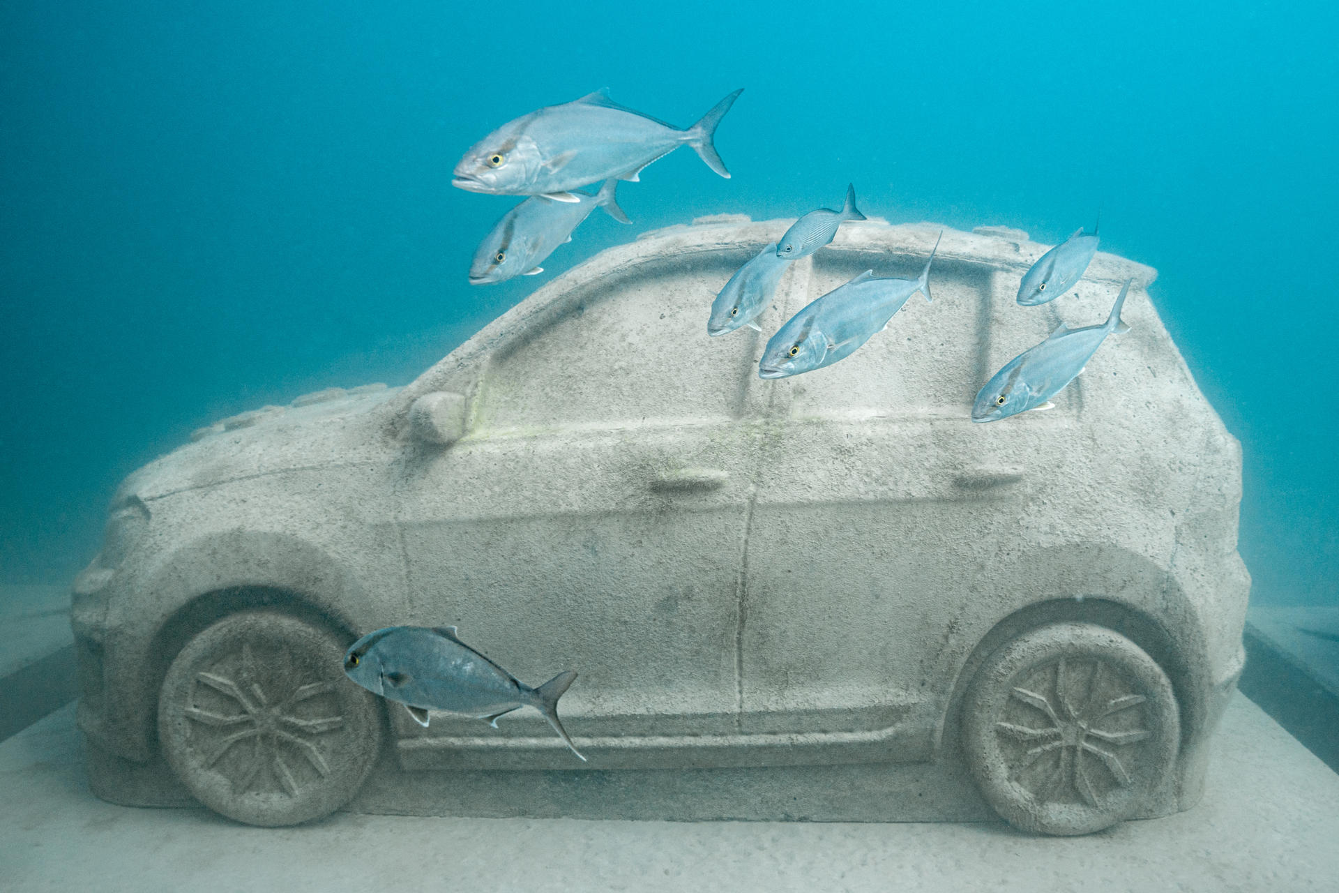 Una autopista bajo el mar: Miami Beach sumerge decenas de ‘vehículos’ para atraer fauna