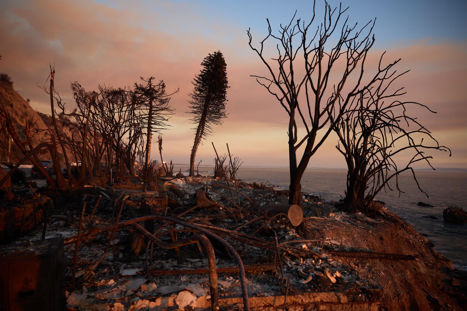Organizan macroconcierto en California en beneficio de los damnificados por los incendios