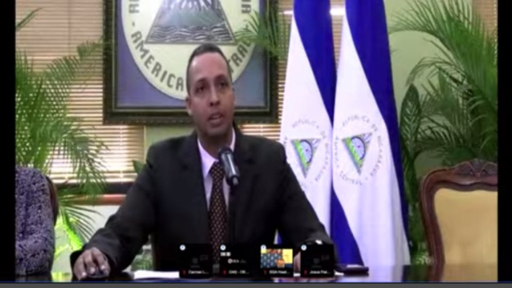Dictadura se victimiza en la OEA, ataca a la CIDH y niega represión