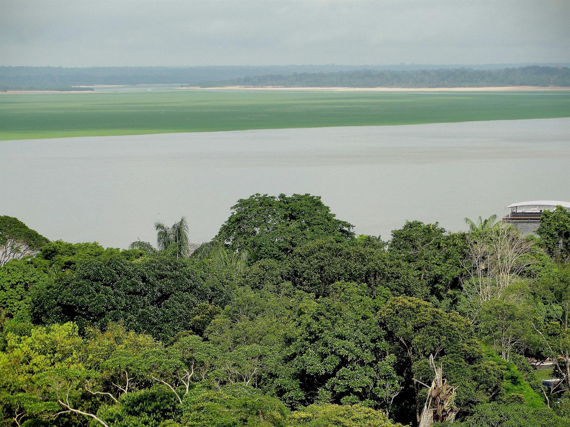 La Amazonía cumple una década como maravilla natural del mundo