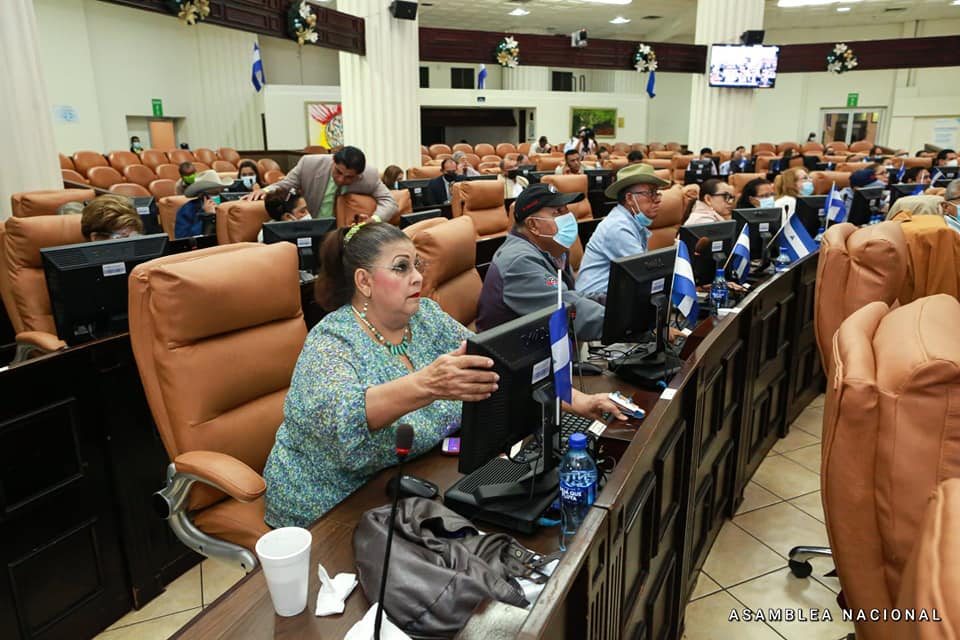 Asamblea Nacional desmantela a otras nueve oenegés