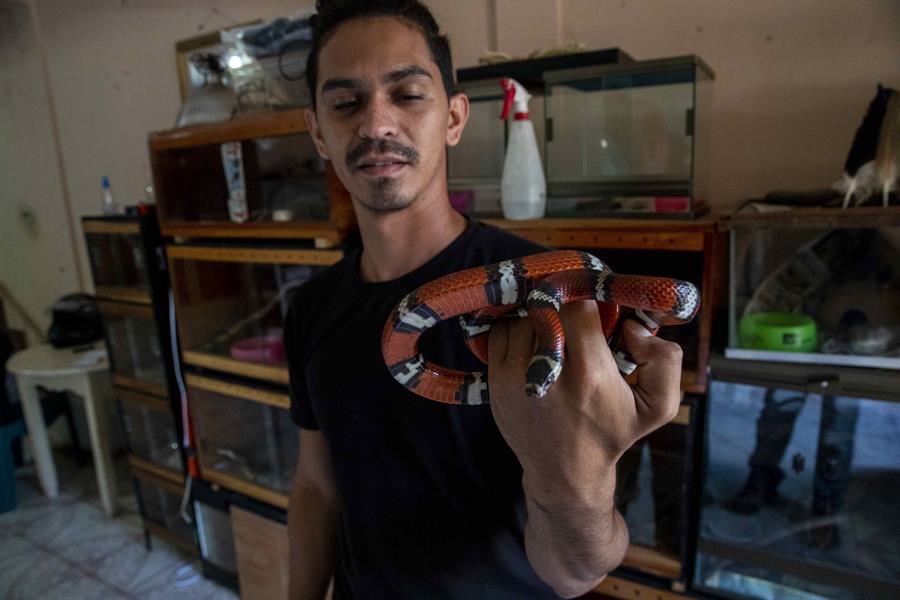José Delgadillo, el encantador de serpientes nicaragüense