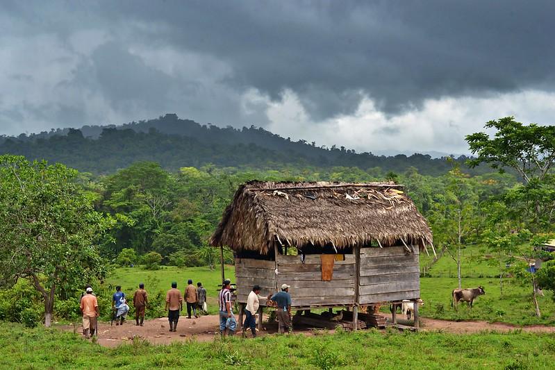 Consejo de Ancianos denuncia que Ortega promueve «exterminio de los pueblos indígenas» en el Caribe