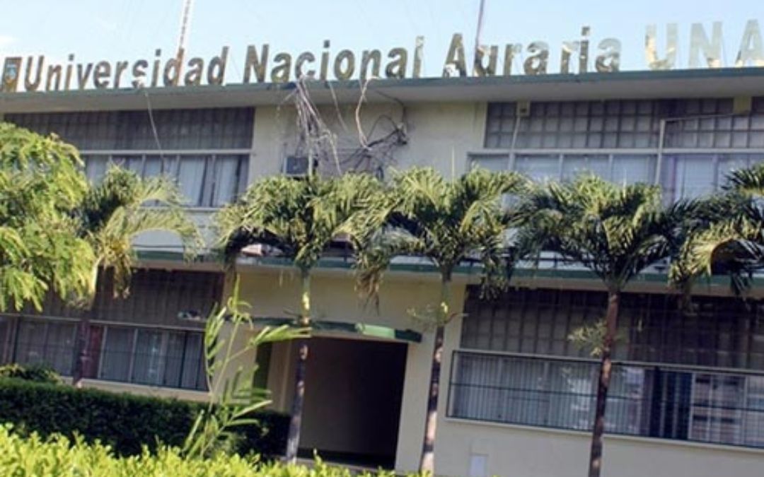 Los despidos anunciados por el régimen llegan a la UNA