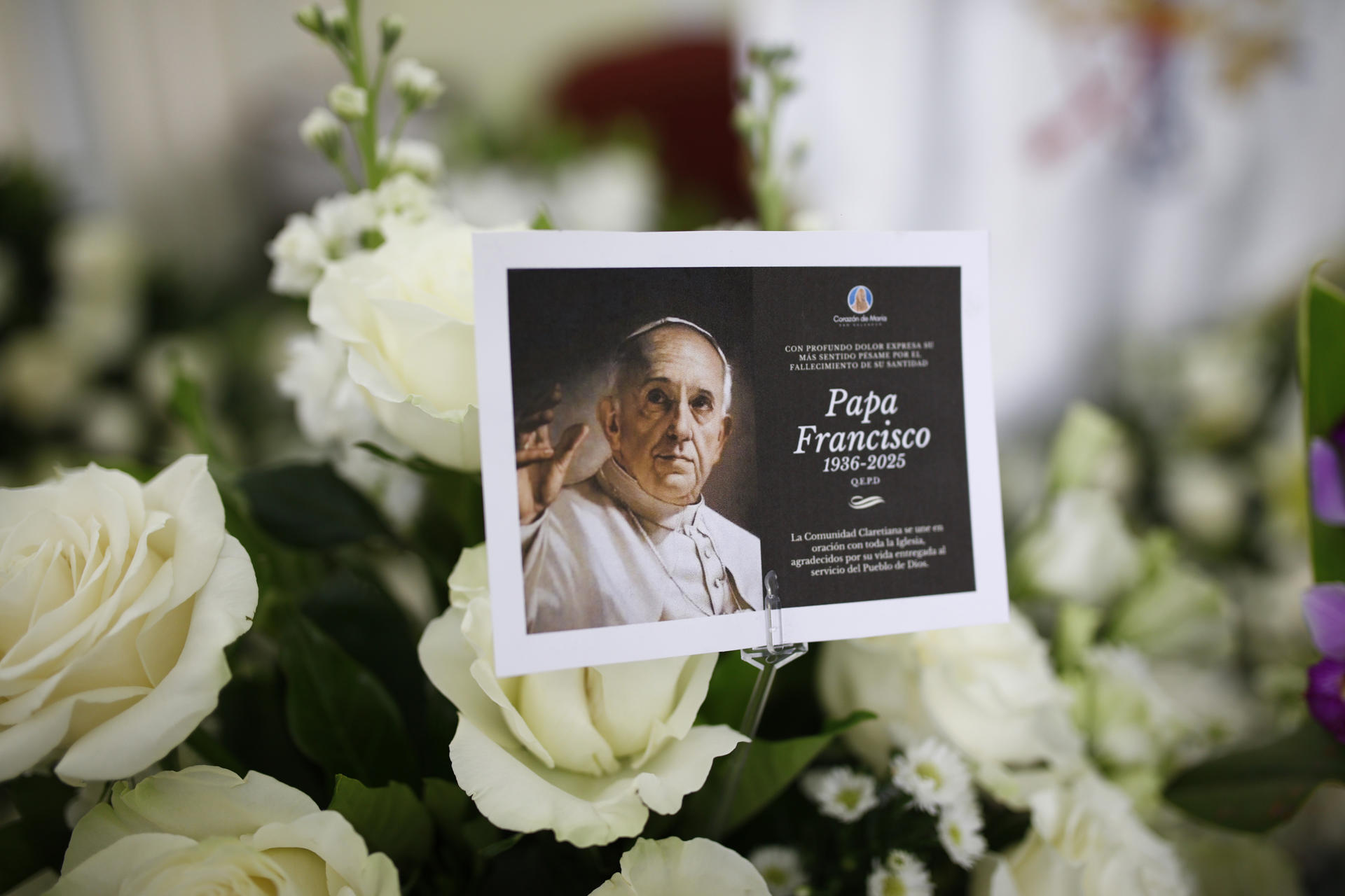 El legado del papa Francisco en El Salvador: Un santo, un cardenal y cuatro beatos