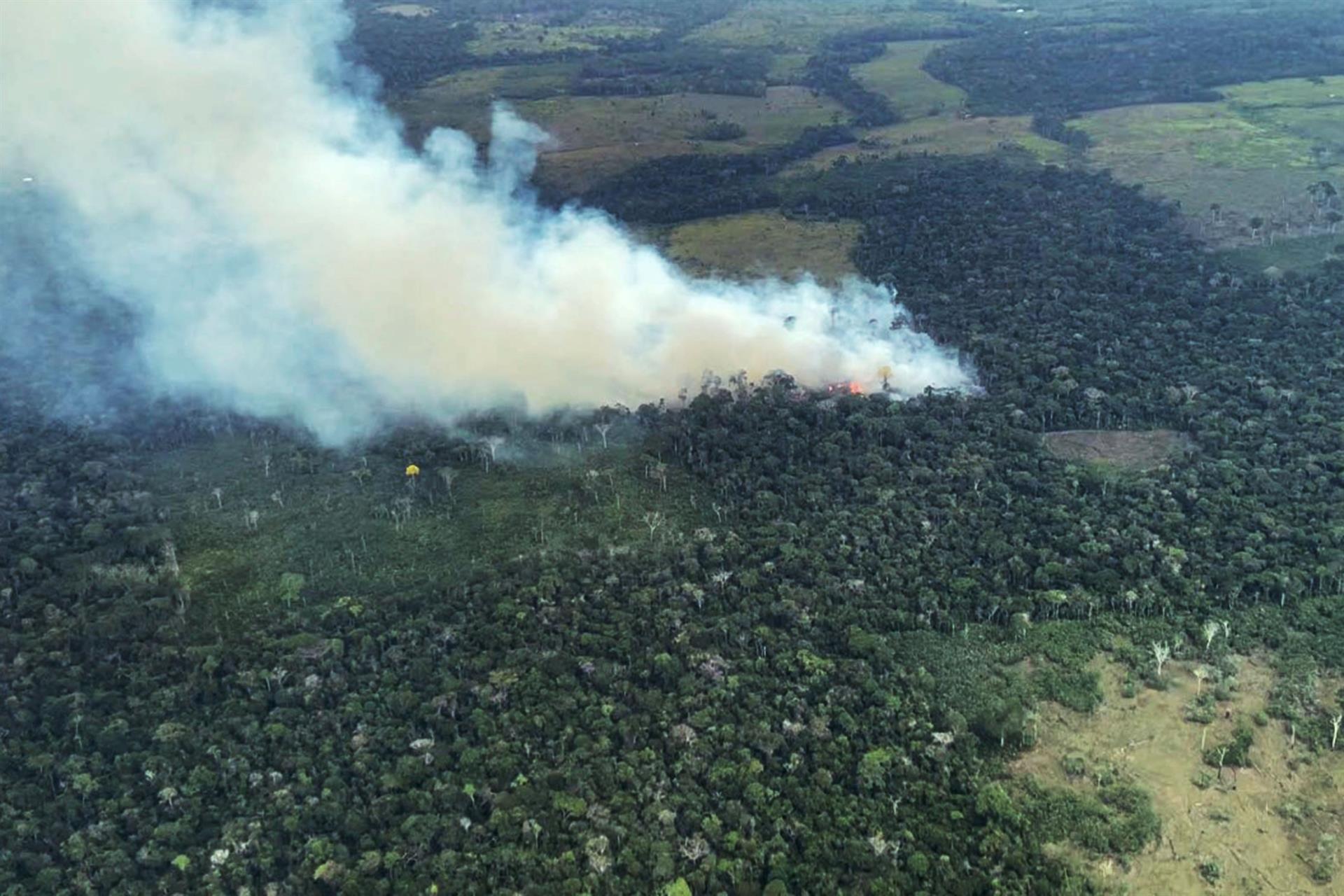 La Amazonía colombiana, un año más, a merced de las llamas y la deforestación