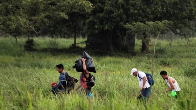 La ruta México-Estados Unidos convertida en un corredor de la muerte: OIM registra incremento de migrantes fallecidos
