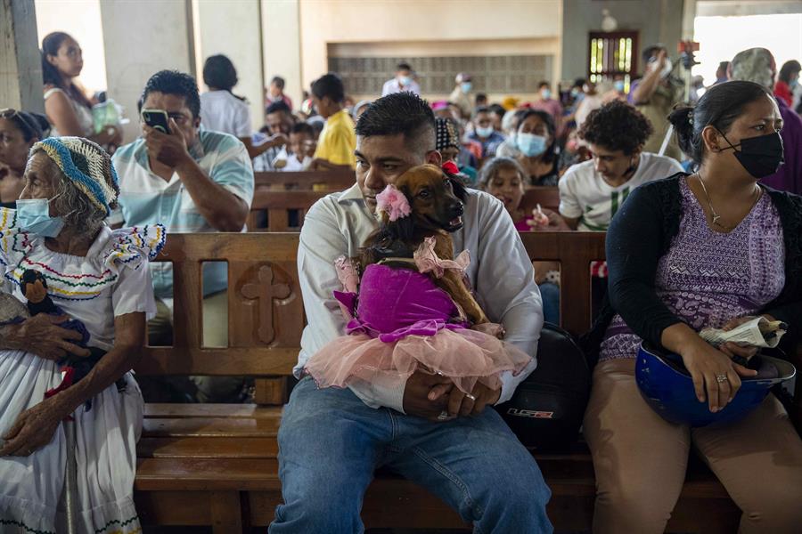 Nicaragüenses devotos de San Lázaro pagan promesas junto a sus mascotas