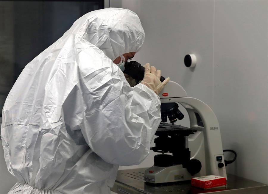 La OMS alerta de que la nueva hepatitis es un tema «muy urgente»