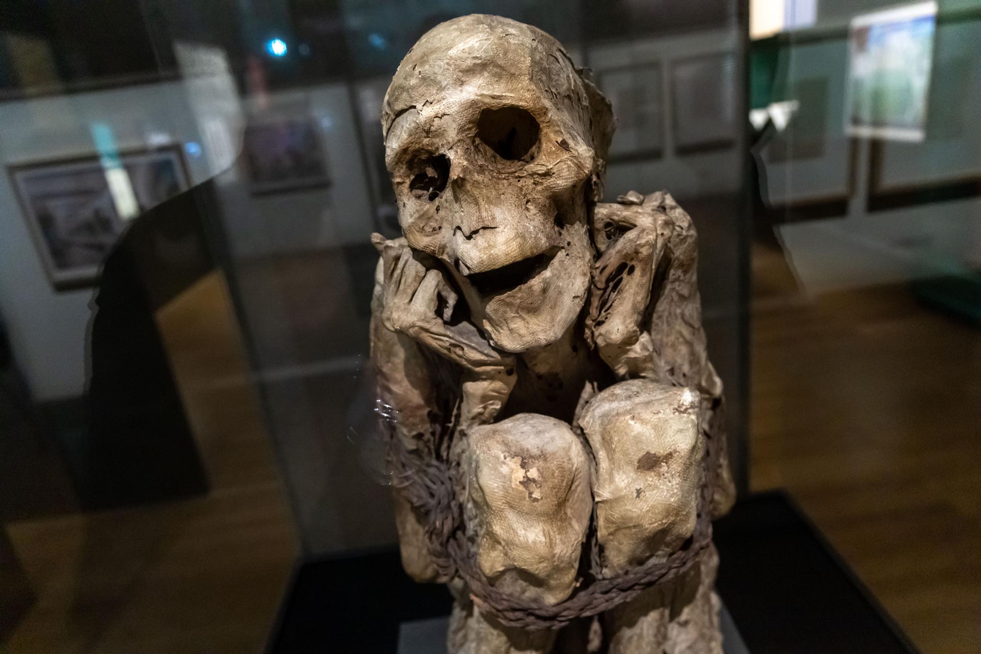 Cuerpos momificados en museos: la exposición ‘Momias’ de París reabre el debate ético