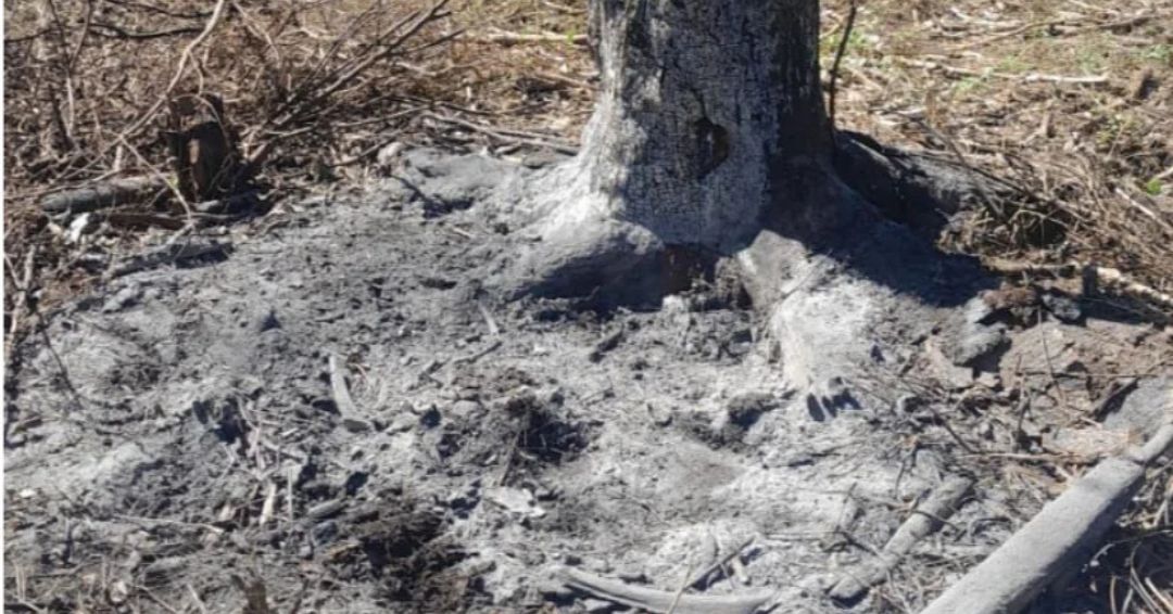Una adolescente de 14 años es asesinada y su cuerpo calcinado en Chinandega