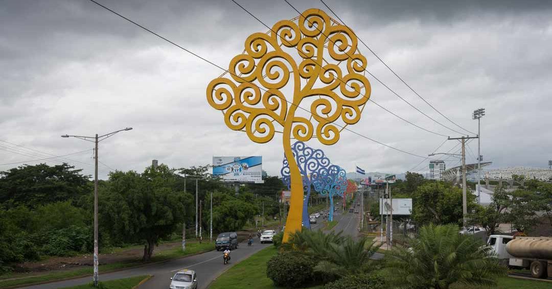 Dora María Téllez critica la instalación de los “Árboles de la Vida”, mientras saquean bosques en Nicaragua