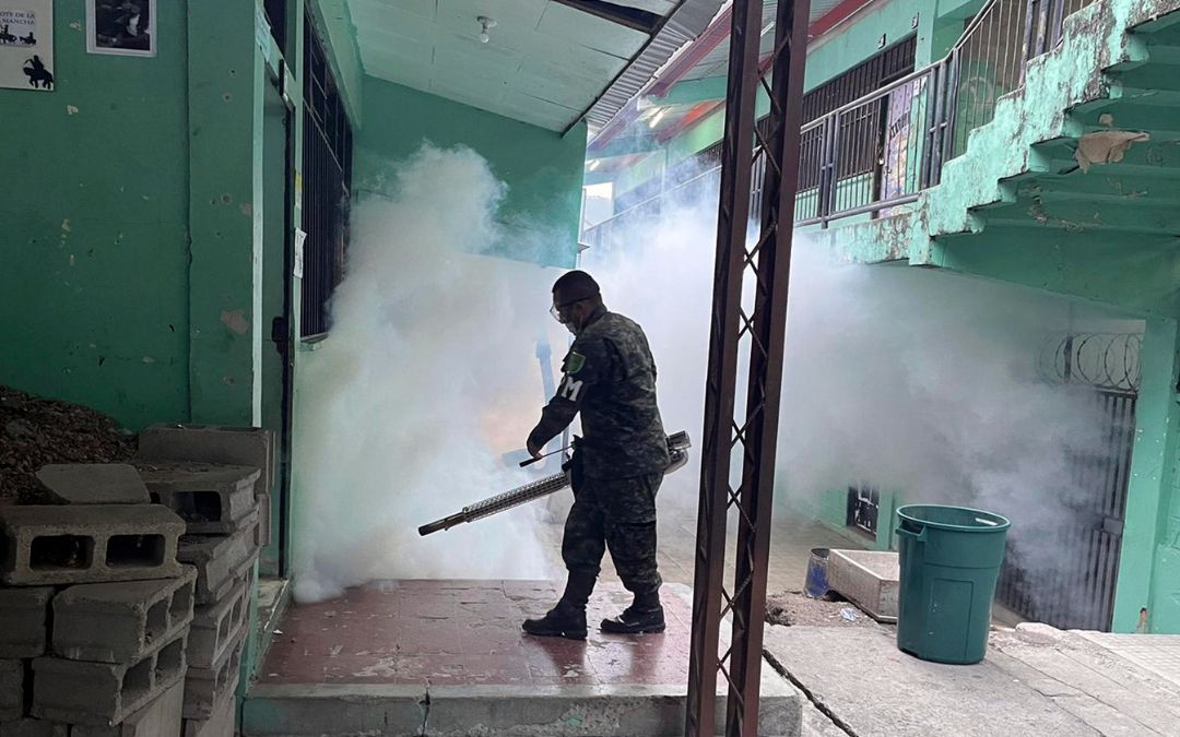 Honduras rumbo a la epidemia de dengue «más agresiva»
