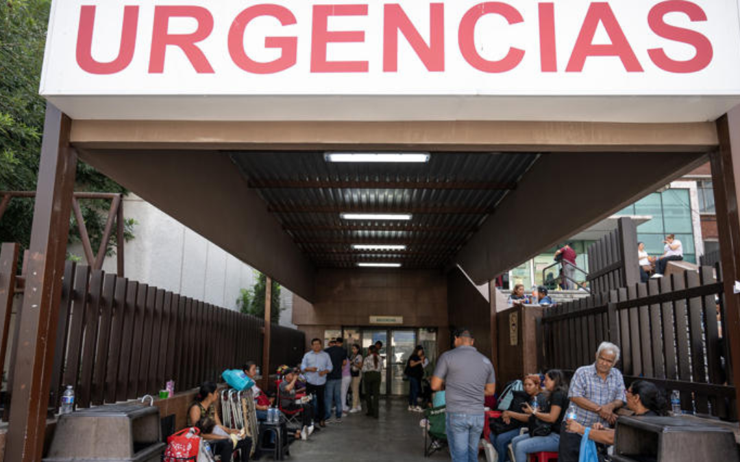 La OMS reporta en México la primera muerte humana por gripe aviar en el mundo