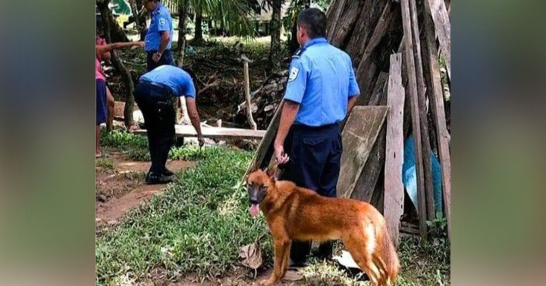 Dos comercitantes muertos tras una balacera en Bluefields