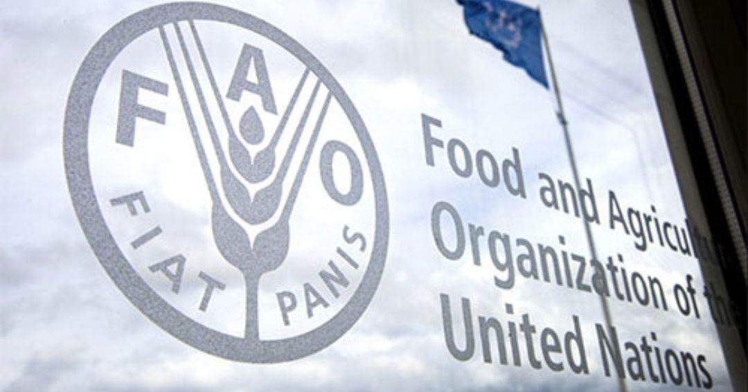 La dictadura expulsa a la FAO de Nicaragua, la acusa de «injerencista» por revelar índices de hambre