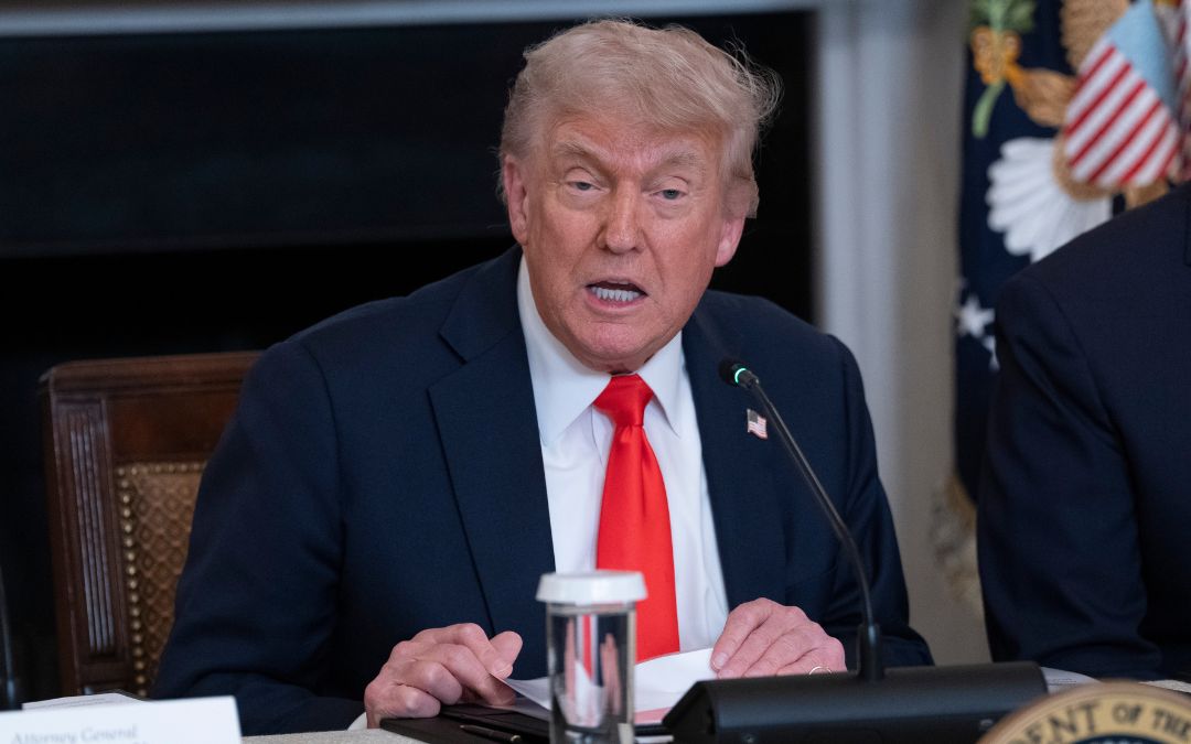 Trump dice que se revisarán los contratos del Gobierno con empresas de Musk