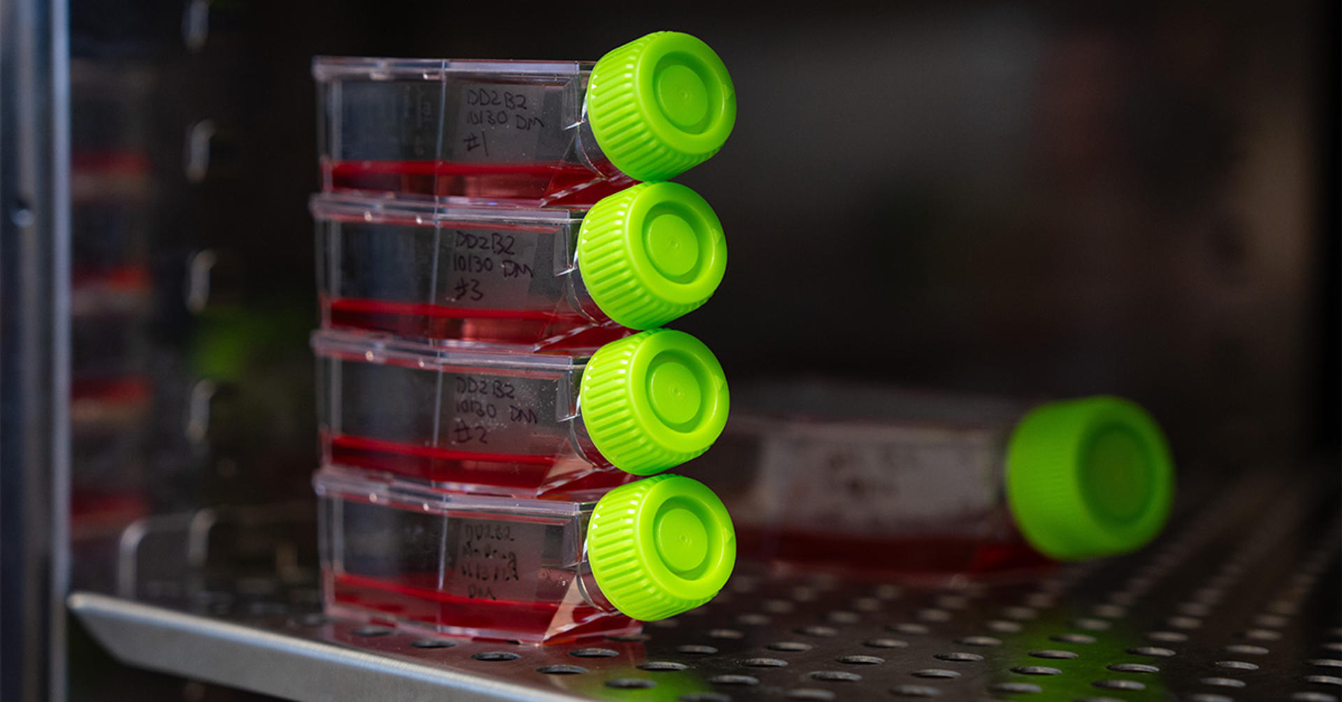 Desarrollan un nuevo enfoque para predecir la resistencia de la malaria a los fármacos