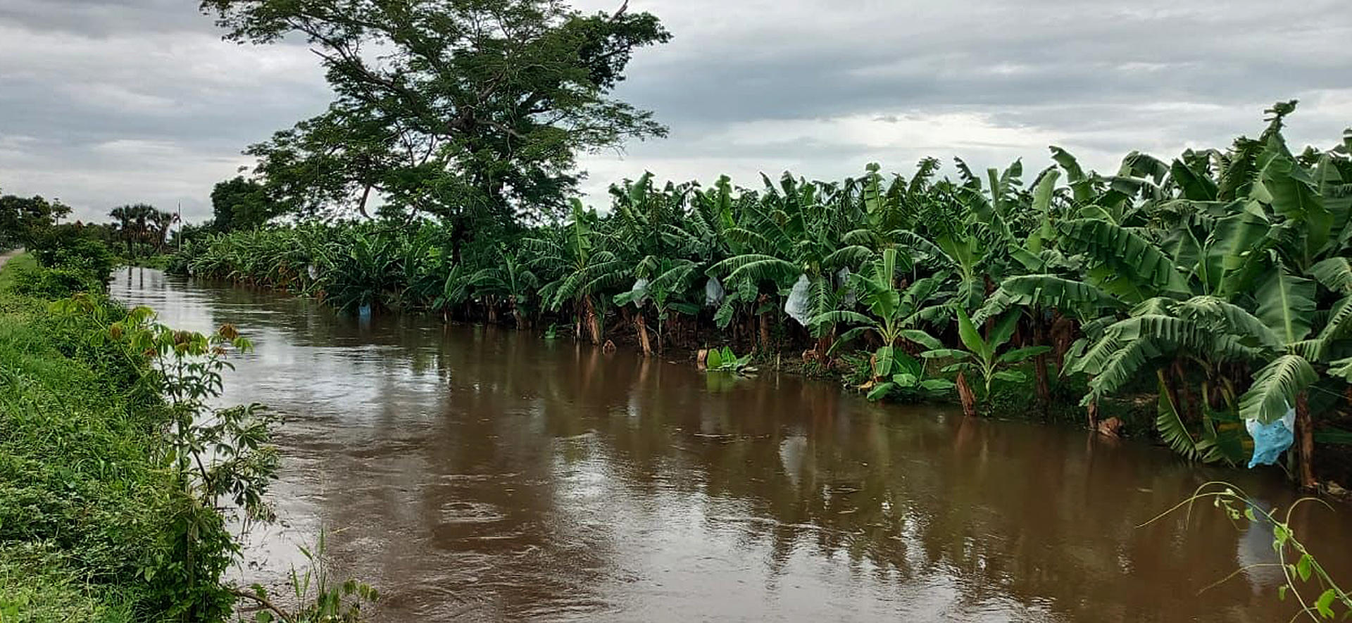 Agricultores de la frontera sur de México urgen declaración de «desastre» por las lluvias