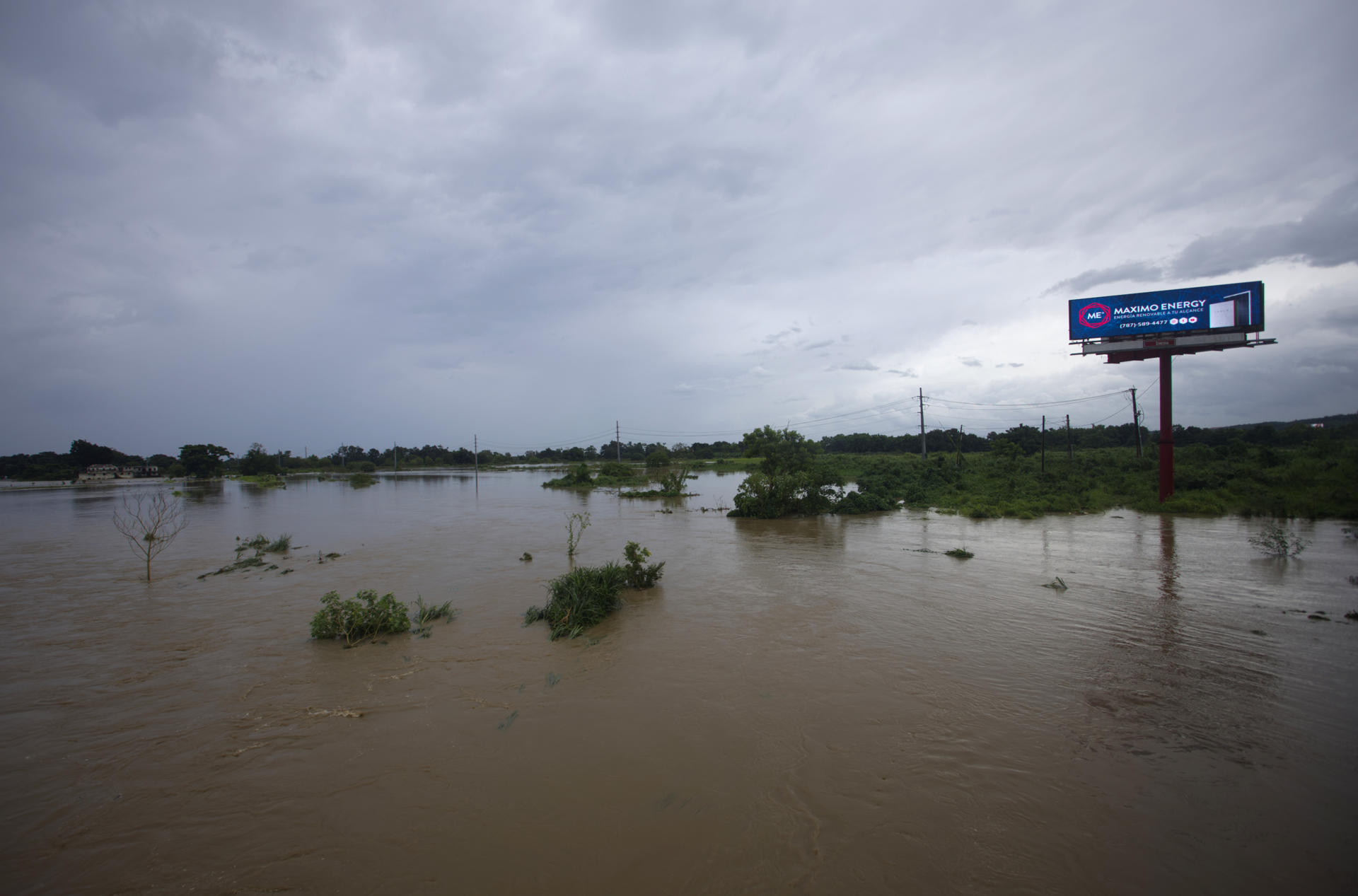 Puerto Rico sufrió 23 millones de dólares en pérdidas en el sector agrícola por Ernesto