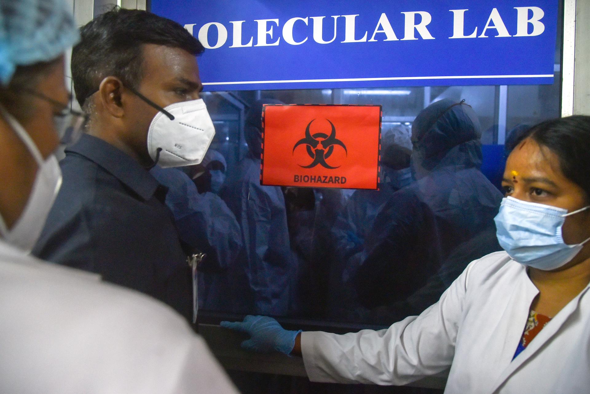 La OMS considera «bajo» el riesgo de expansión del letal virus Nipah tras la alerta en la India