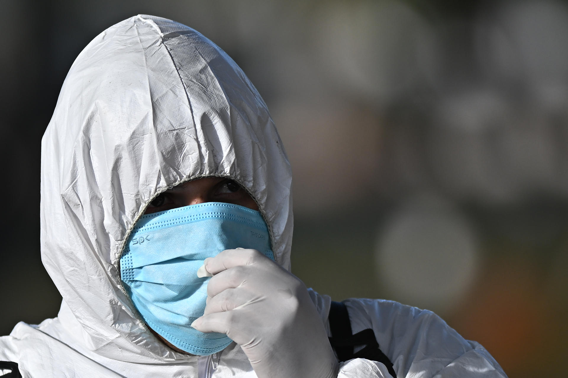 Brasil concluye la cuarentena tras detectar un caso de gripe aviar en una granja