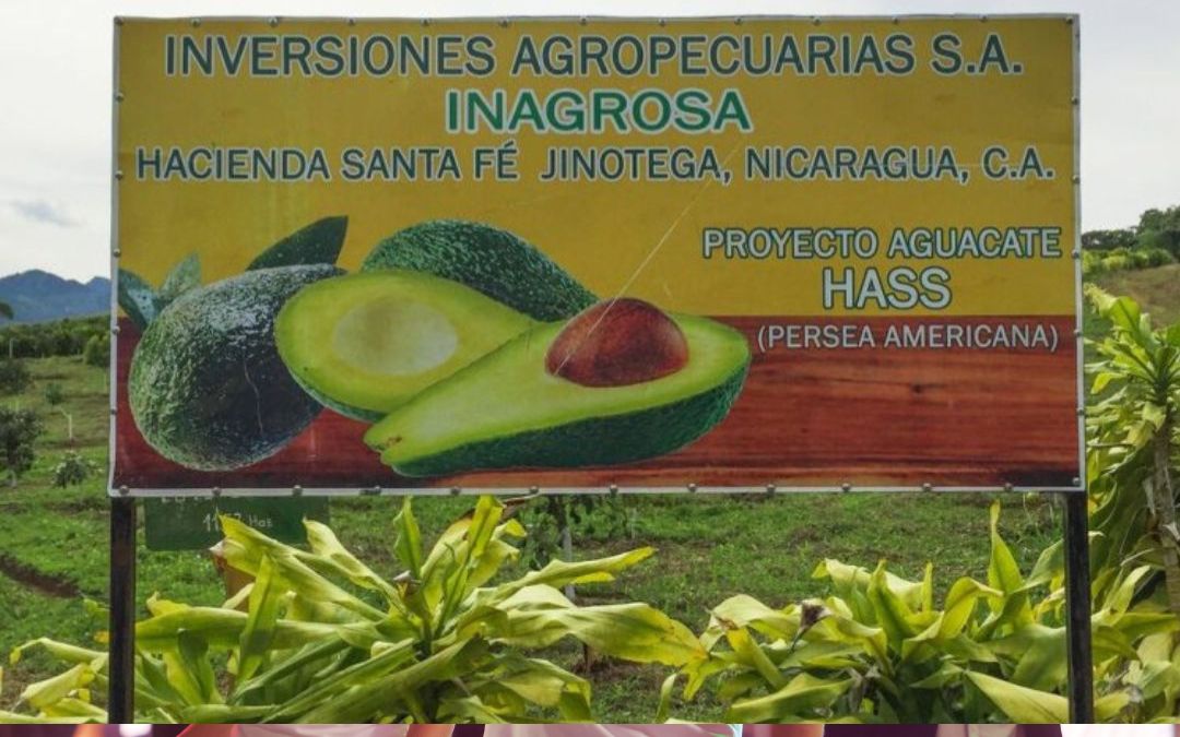 Riverside Coffee pierde la demanda contra Nicaragua y deberá pagar una indemnización millonaria al régimen