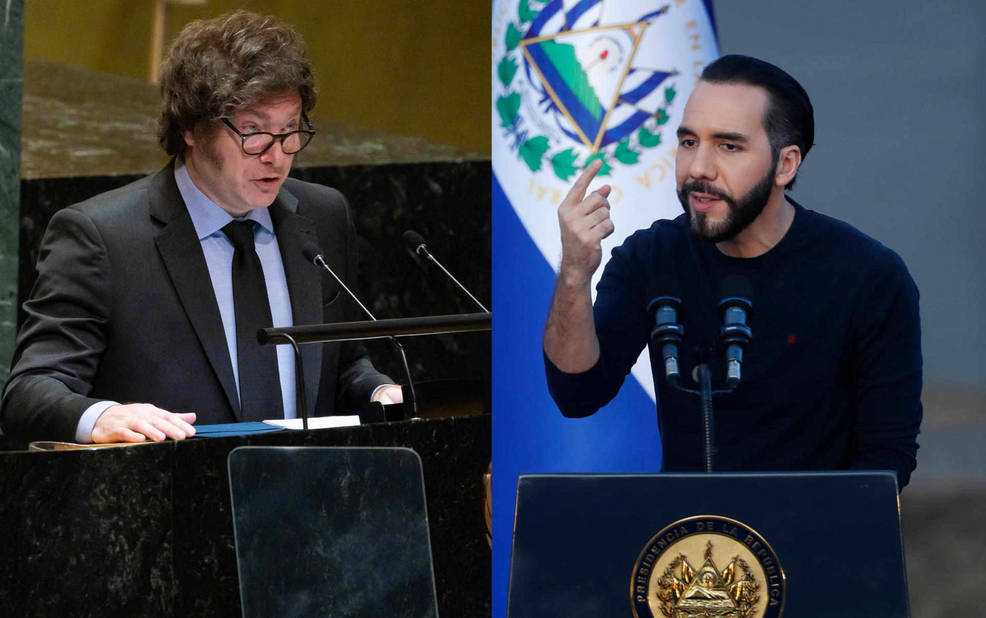 Milei y Bukele se reunirán el lunes en Buenos Aires
