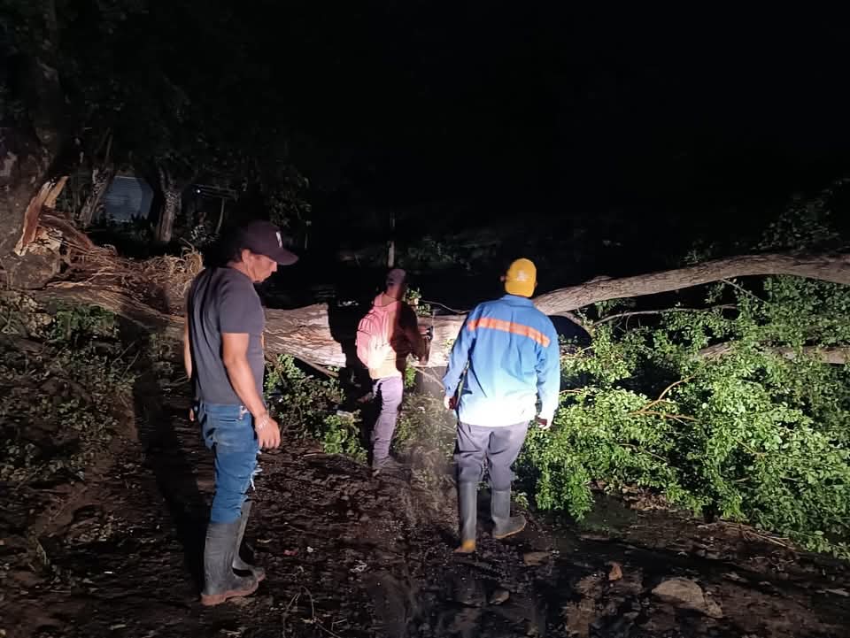 Fuertes lluvias y vientos dejan casas dañadas, árboles caídos y apagones